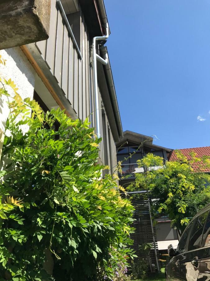 Blackbird'S Nest Wiesenbronn Bagian luar foto