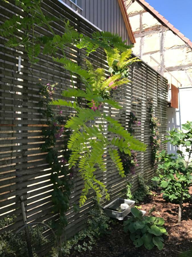 Blackbird'S Nest Wiesenbronn Bagian luar foto